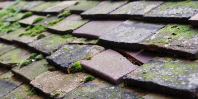 Walcot roof repair costs